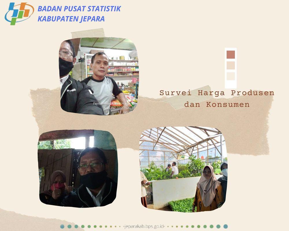 SURVEI  HARGA PRODUSEN DAN KONSUMEN PERDESAAN (ShPed)