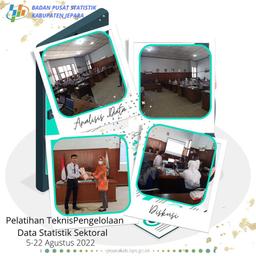 Sectoral Statistics Data Management Technical Training