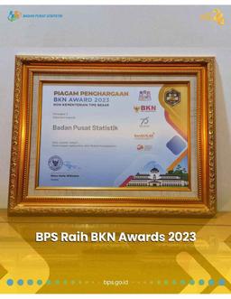 BPS Raih BKN Award 2023